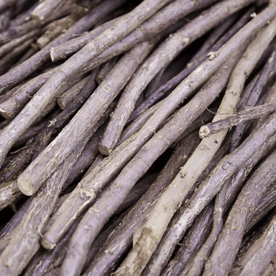 Licorice